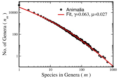 genera
