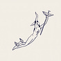 Thoughts and Considerations's avatar
