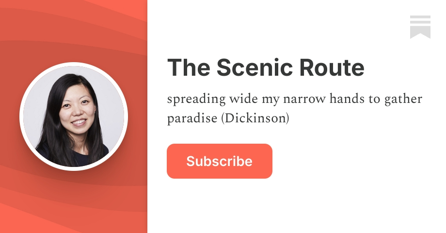 Substack Lewis Lin The Scenic Route | Wendy Lin | Substack