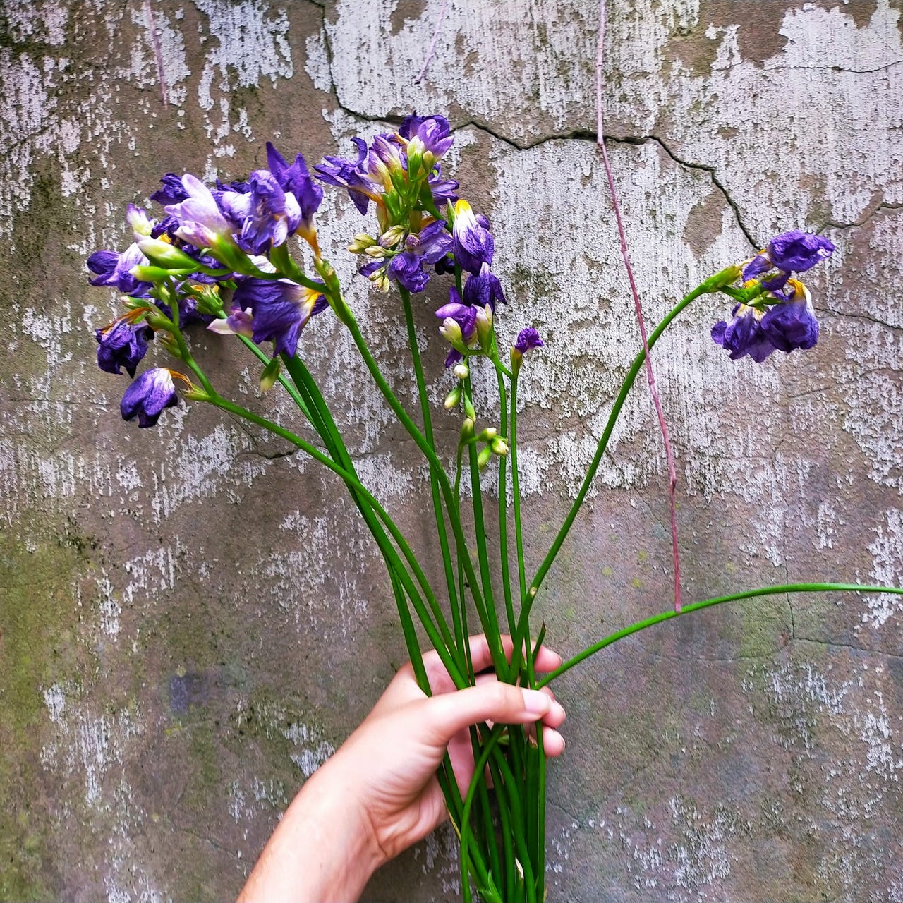 From Art to Politics