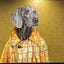 User's avatar