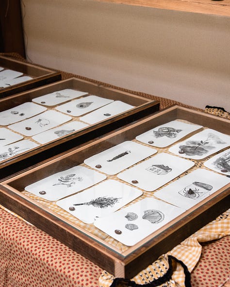 Ink book illustrations