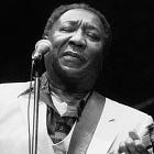 Muddy Waters: Mannish Boy