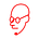 Creatively Curious Substack