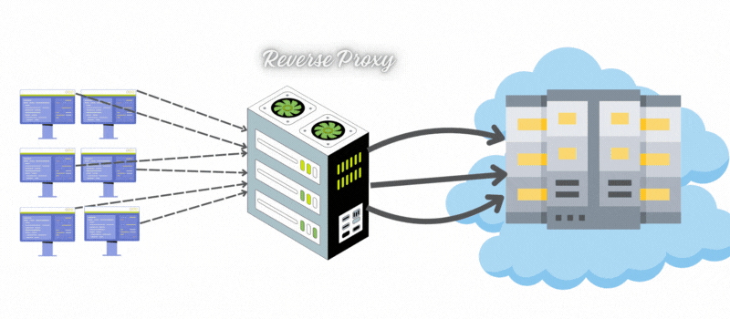 reverse proxy server