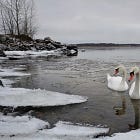 a december poem (poem)