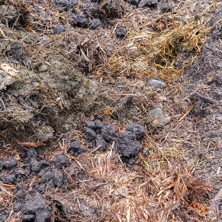 Diptych: Compost with Bread & Flour; Straw & Manure pile
