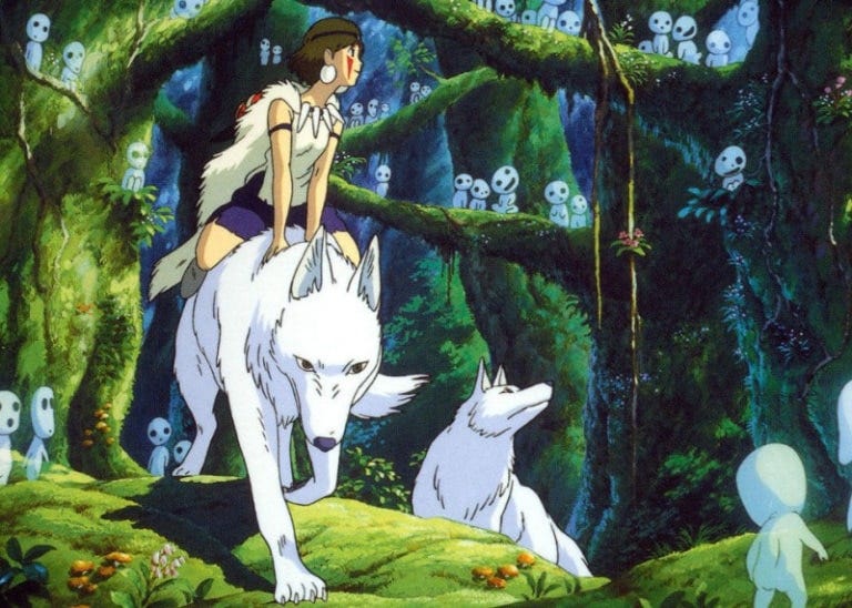 The Mystical Yakushima Cedar: Hiking in The Princess Mononoke Forest! -  Otashift