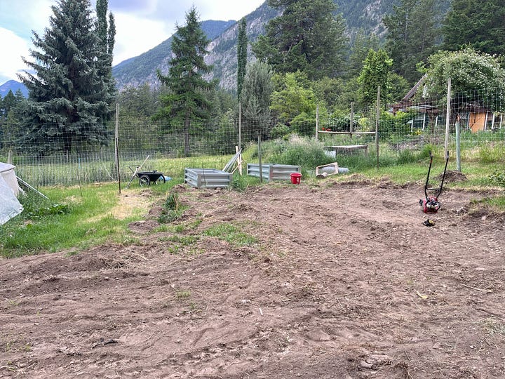 tractor bring soil to a raised bed; garden area dug over by a tractor