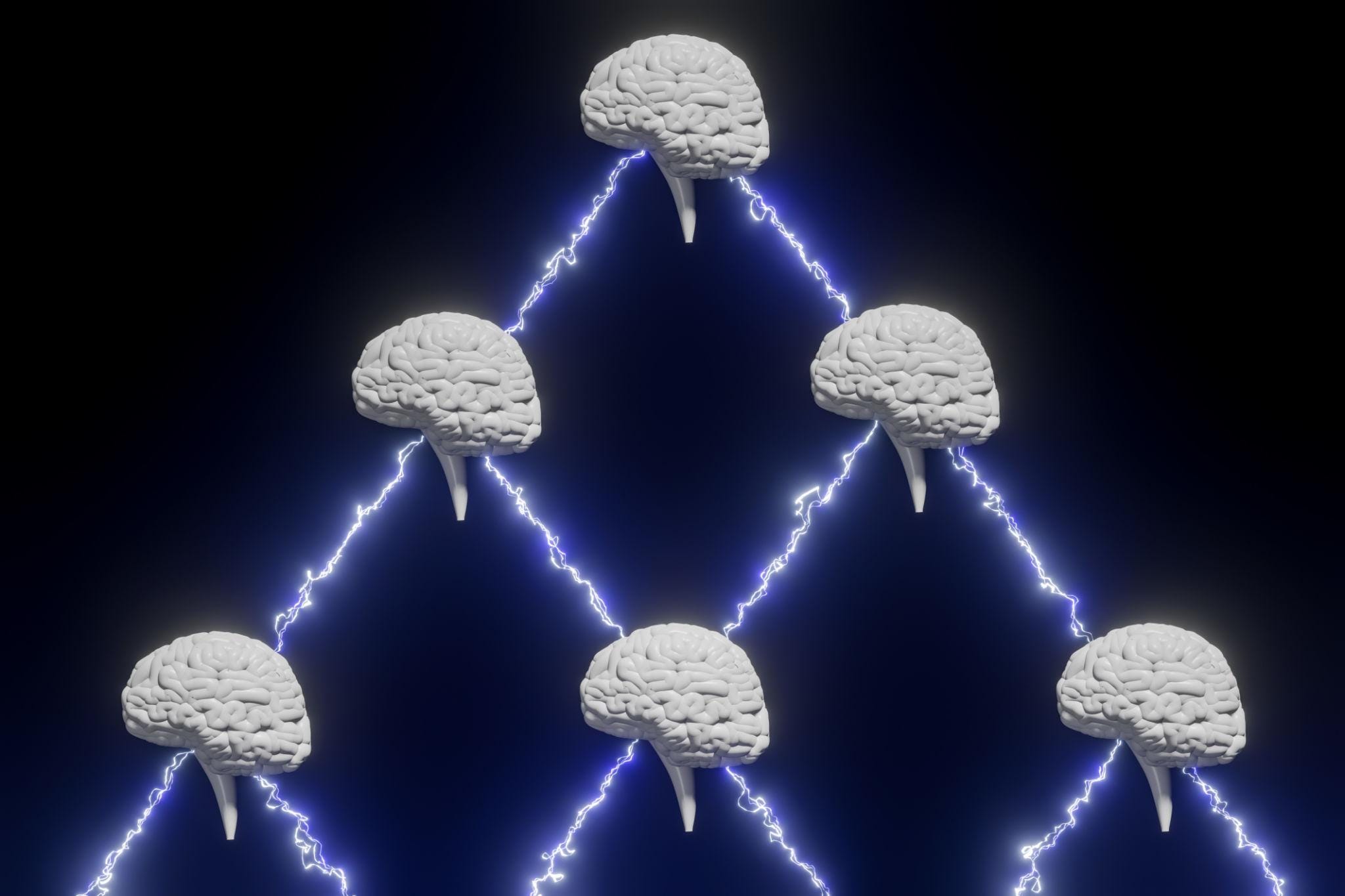 How the Brain Constructs Reality