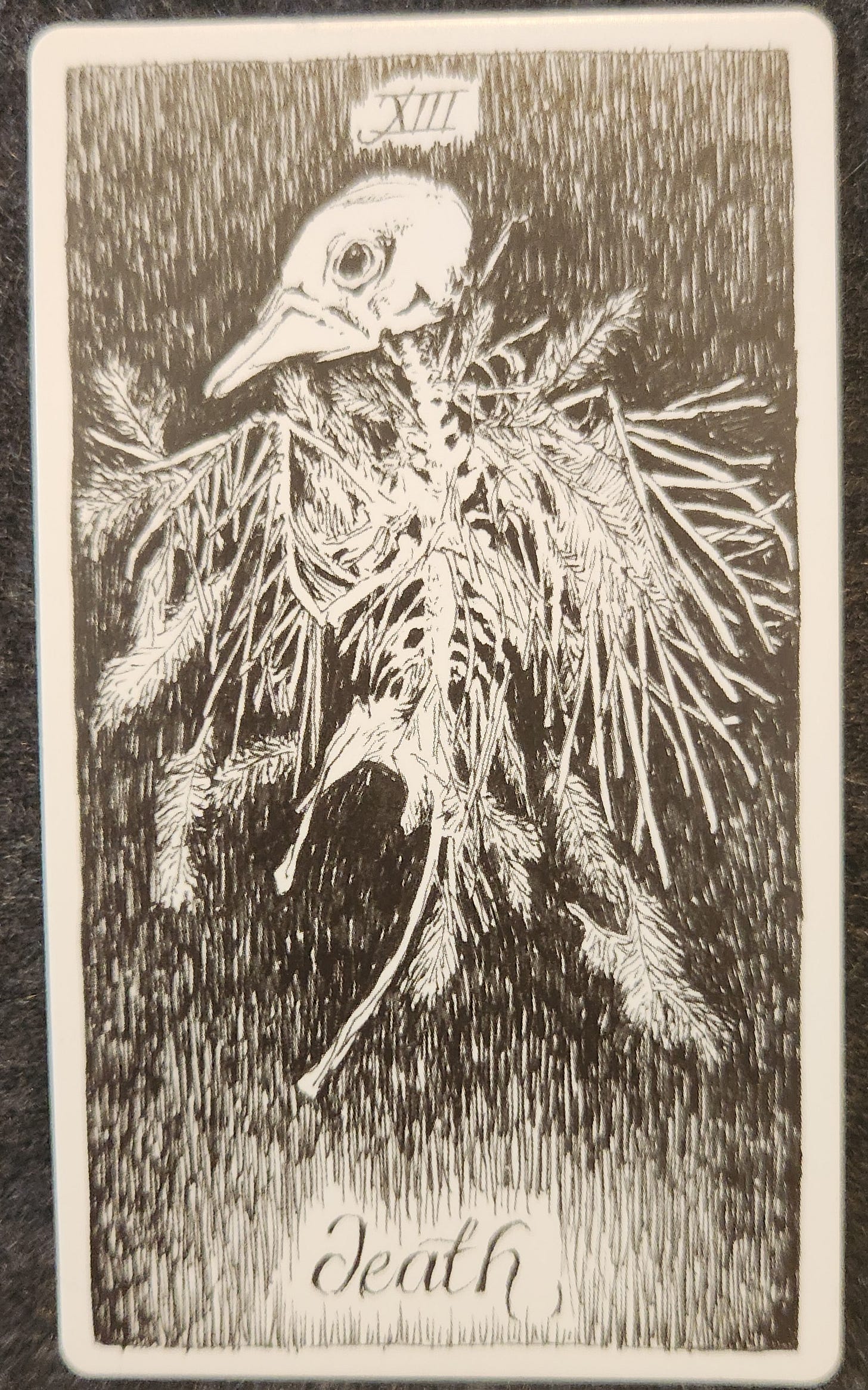 A tarot card labelled XIII death. The skeleton of a bird showing a full skull attached to vertebrae and feathers. The card is fully black and white.