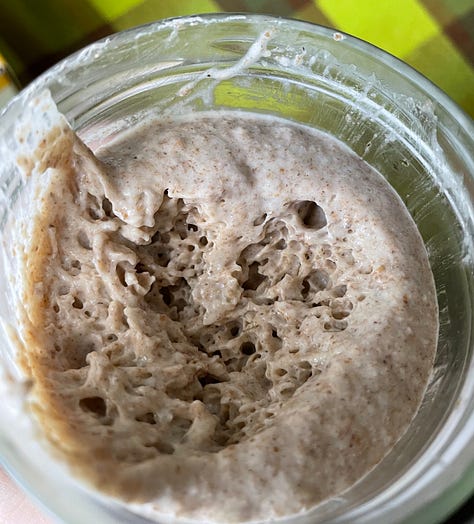 107 year old organic rye sourdough starter, sourdough bread, dehydrated starter, Australian flour, bake sourdough at home, rye, water, salt, RNR Sourdough, Rock n Roll Sourdough