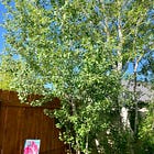 Dancing with the Muse