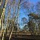 Writing in Suffolk