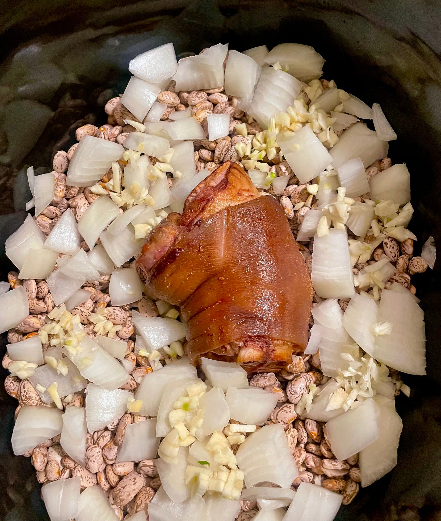 In a black crockpot, the dry beans, diced white onions, minced fresh garlic, and a single hamhock