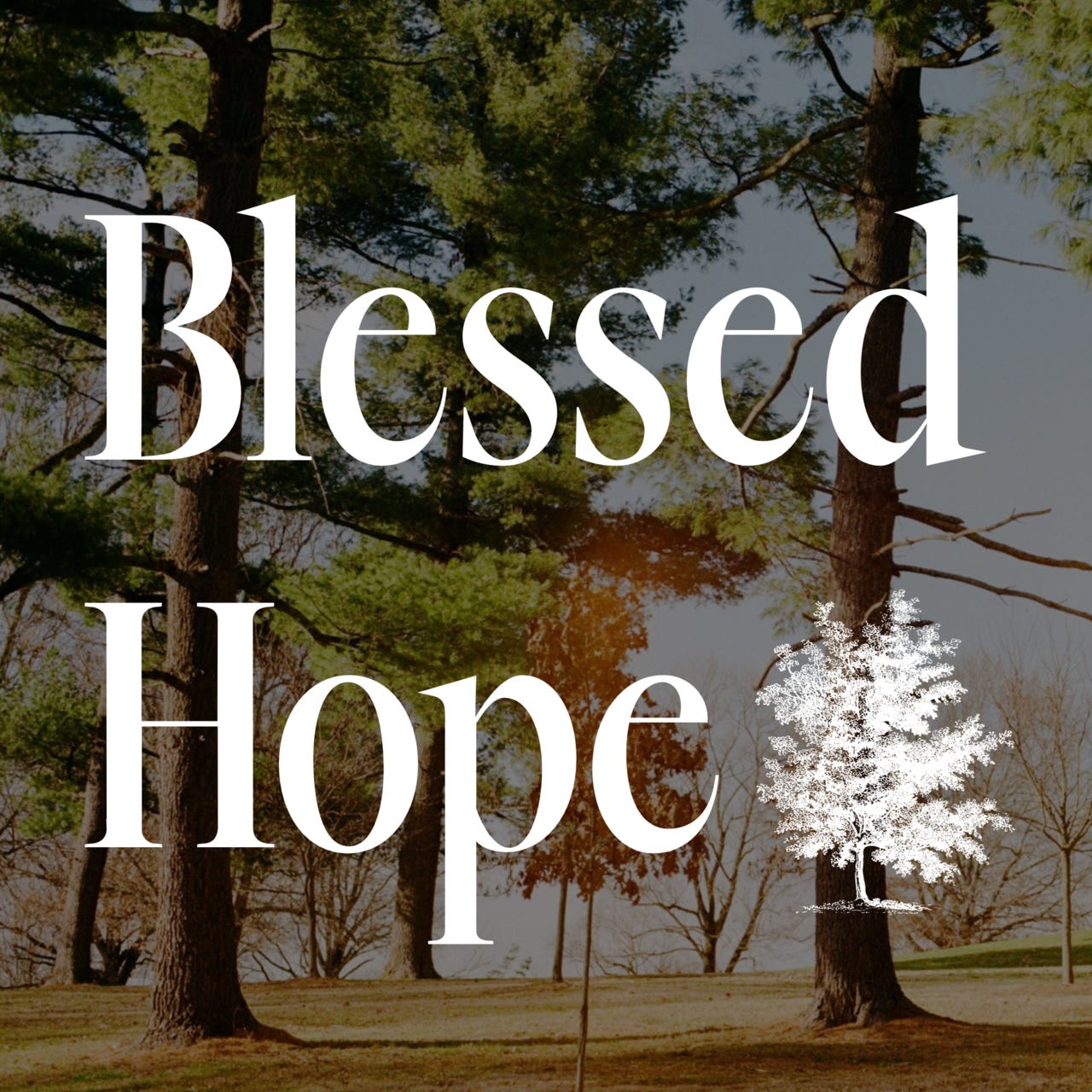 Blessed Hope