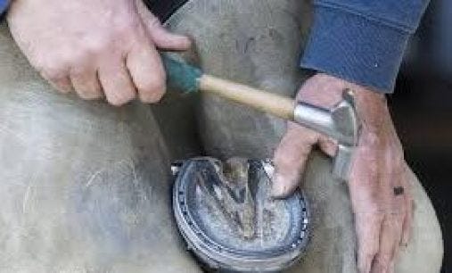 Farrier