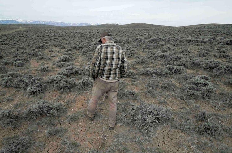 Epic winter drought creates a bleak situation for farmers — and your food Epic winter drought creates a bleak situation for farmers — and your food
