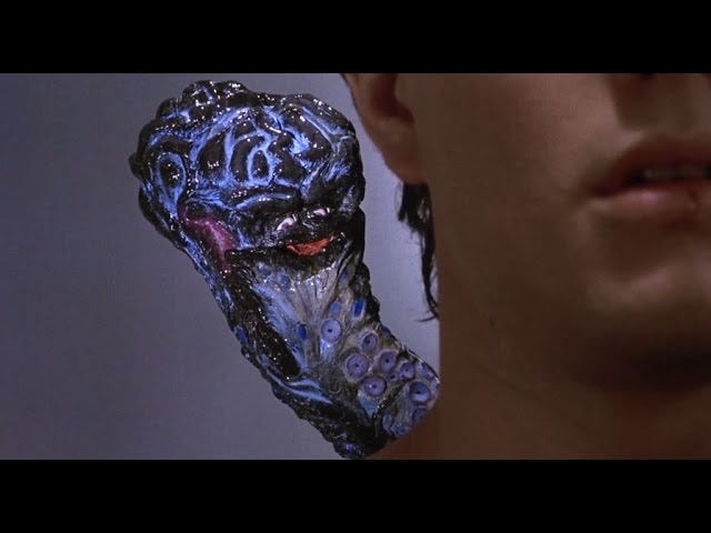 Brain Damage Clip - Elmer Arrives Brain Damage Clip - Elmer Arrives