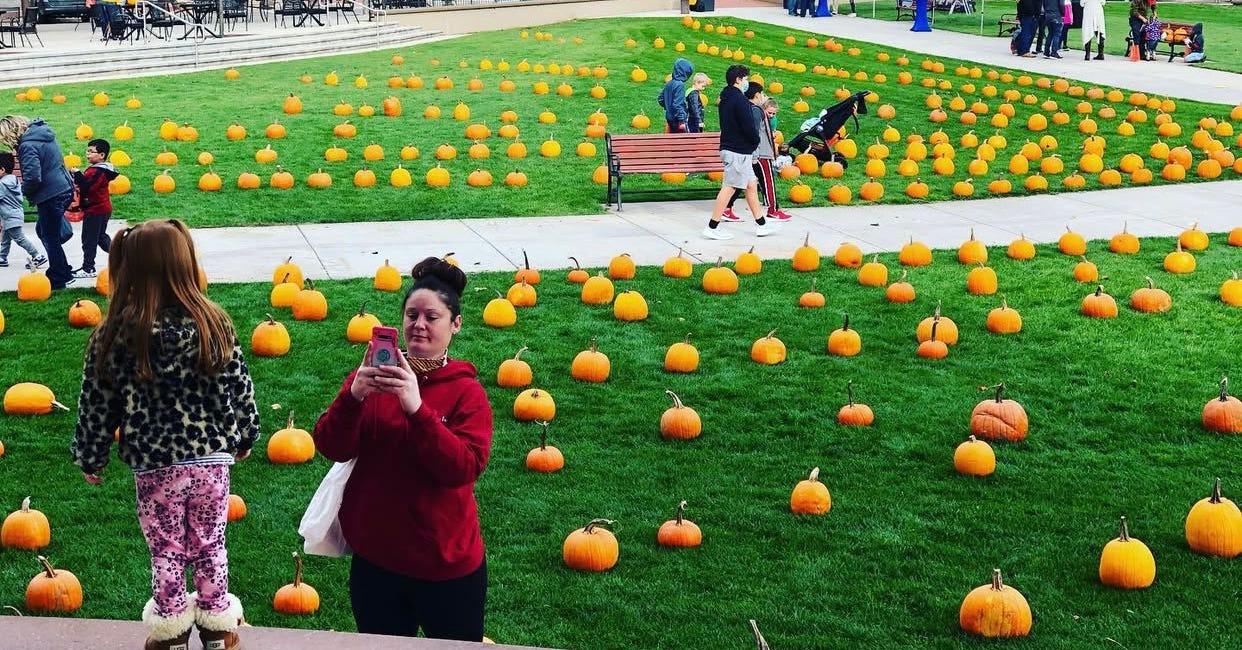 Harvest weekend | Your Wausome Weekend Guide