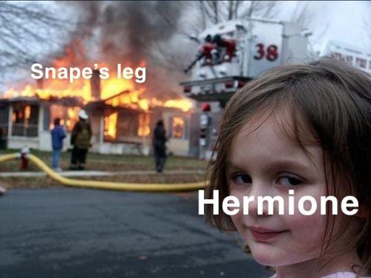 When She Set Snape On Fire : r/harrypotter