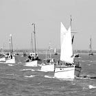 the Freedom Fleet will sail to break the siege on Gaza this month!
