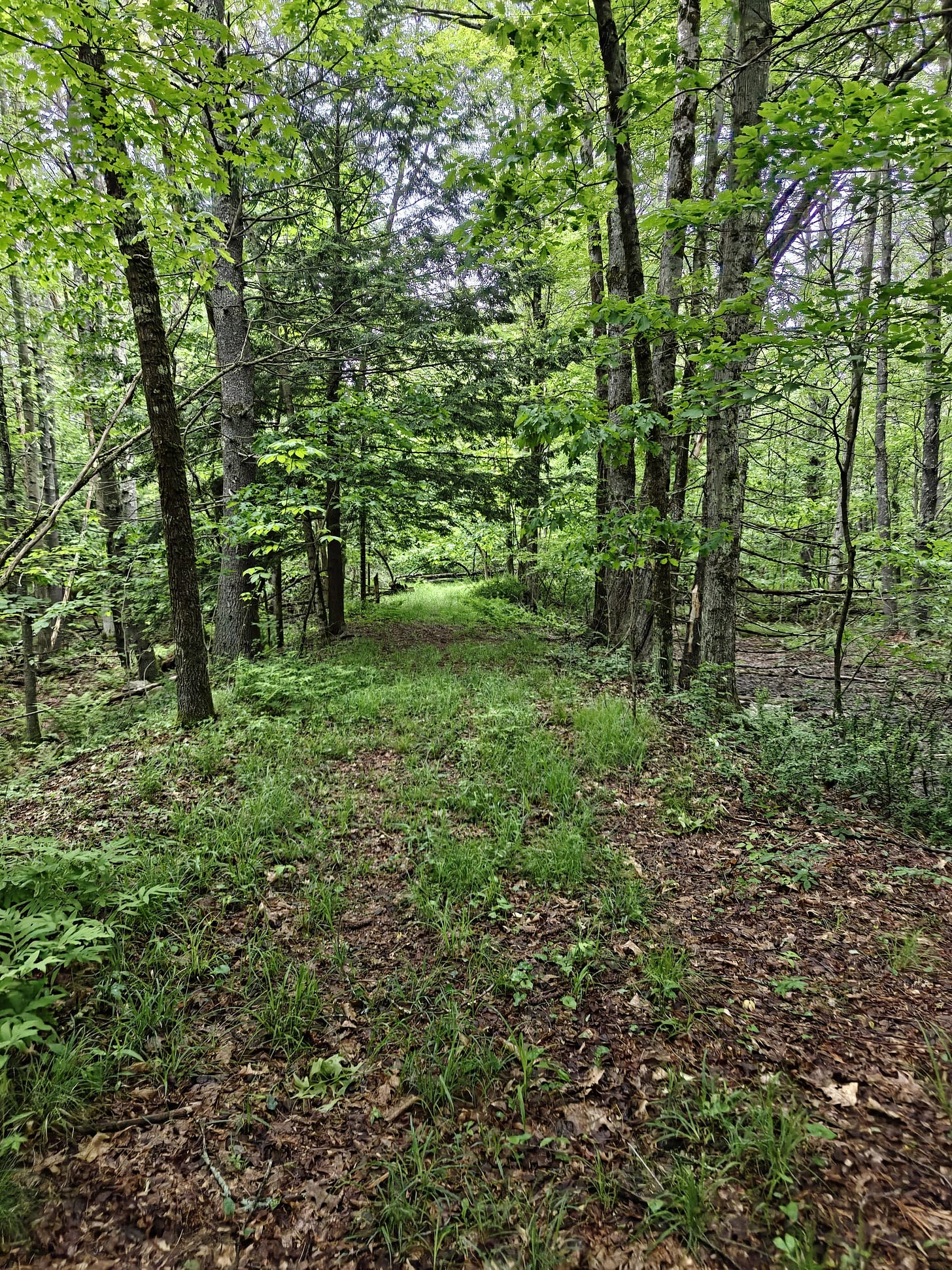 A Trek Along the Cocheco Railroad