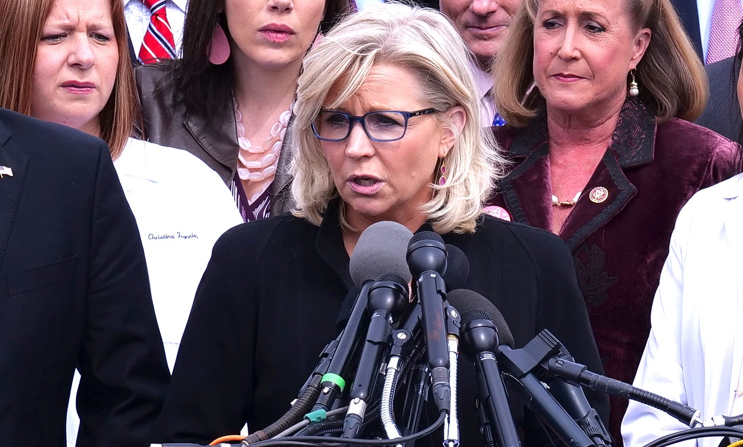 Liz Cheney by Jerome460 / shutterstock.com