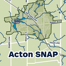 Feedback sought for this sustainable action plan for Acton