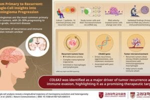 New study uses single-cell transcriptomics to map how meningiomas evolve from primary to recurrent states