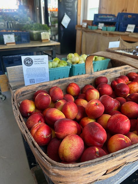 Pitney Meadows Community Farm