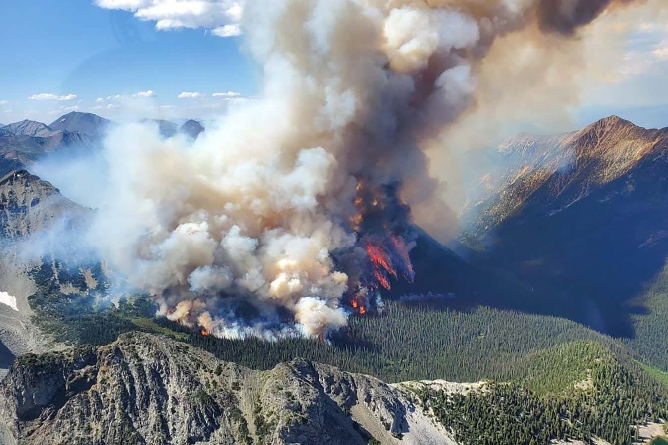 Canada's wildfire emissions this year have doubled the annual record | New Scientist Canada's wildfire emissions this year have doubled the annual record | New Scientist