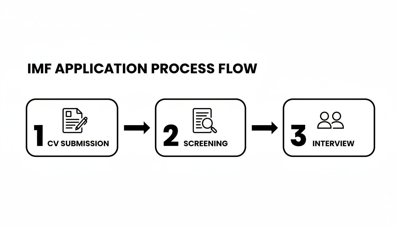 A three-step IMF job application process flow diagram with icons for CV submission, screening, and interview.