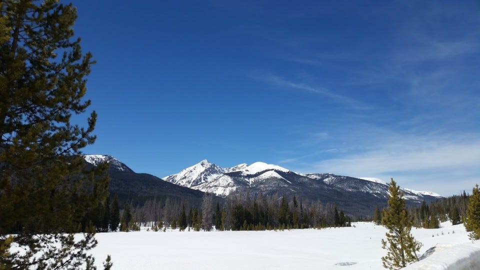 Living well with pain, snowshoeing my ass off Living well with pain, snowshoeing my ass off