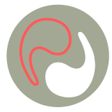 Sin prisa y sin pausa