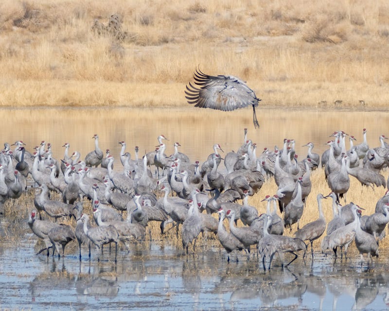 20250128-Willcox-405-Edit.jpg 20250128-Willcox-405-Edit.jpg