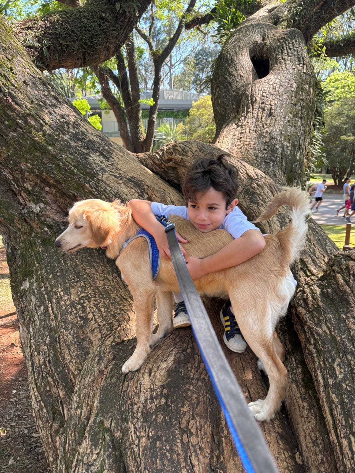 Foto de uma criança em cima de uma árvore de troncos largos abraçado em um cachorro de pelagem bege