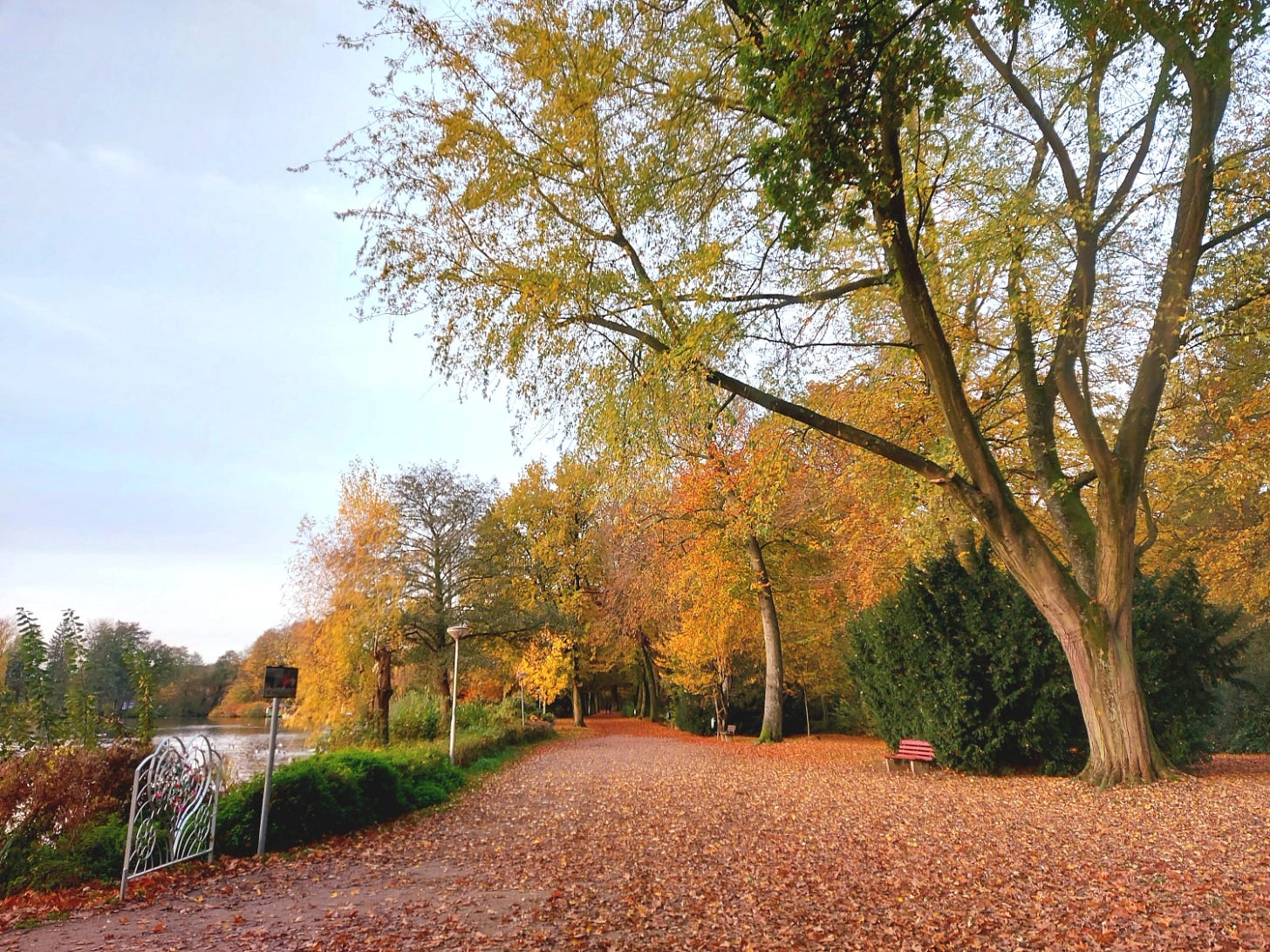 Lakeside promenade in autumn, leaves in all colours