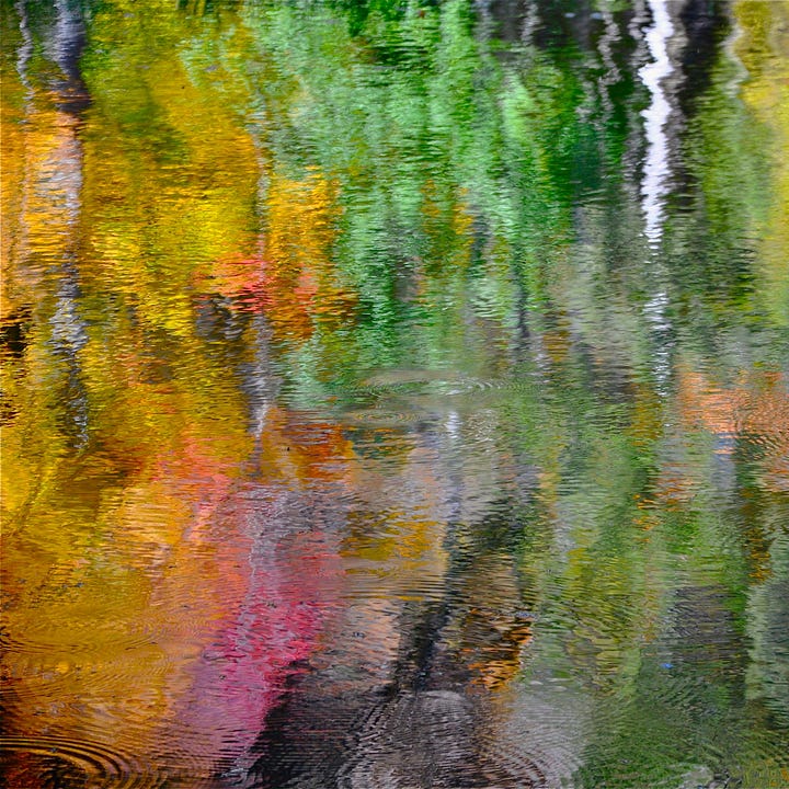 Diptych: Shimmering greens and oranges in ripples of water; Compost bucket filled with orange carrot tops, leeks, tea leaves and stuff.