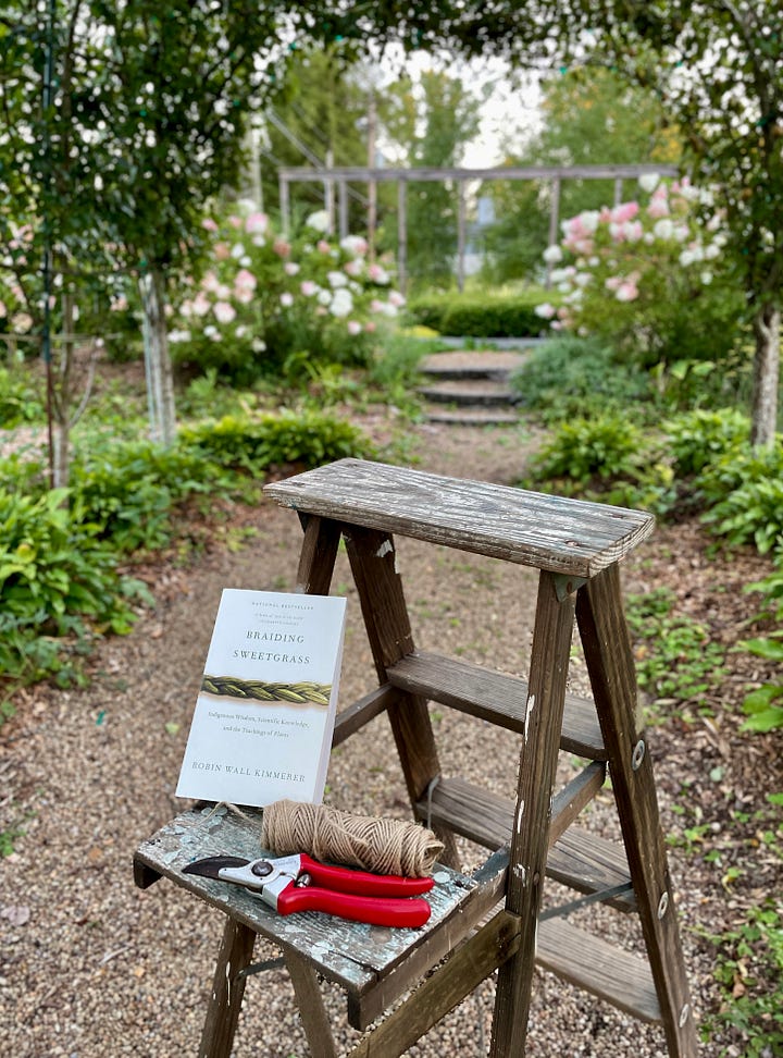 Tools of the trade in the Fruit Tunnl: my wooden ladder, hand pruners, twine to tie in, and Braiding Sweetgrass on audiobook.