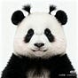 Patty Hsieh's avatar