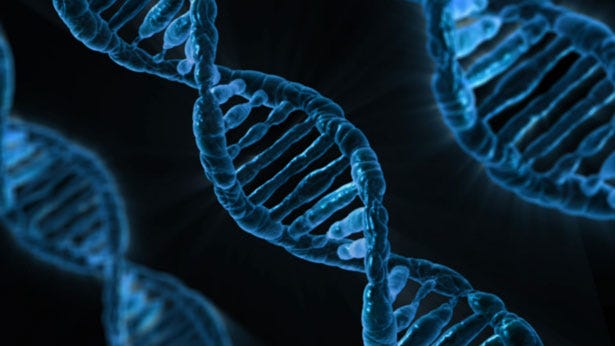 BONUS: Is autism simply genetic? with Danielle Drinkwater and Naomi Fisher