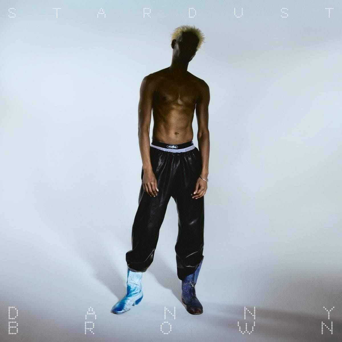 Danny Brown: Stardust Vinyl & CD. Norman Records UK