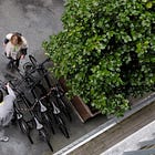 Play, Learn & Ride