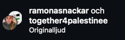 Skärmdumpar från Together For Palestines instagram