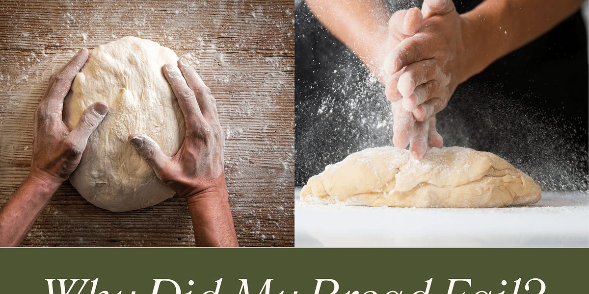 Why Did My Bread Fail? The Science Behind Perfect Loaves and How to Fix ...