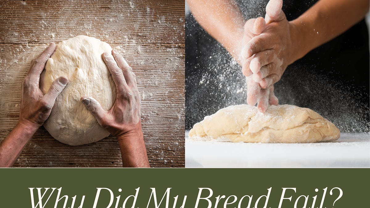 Why Did My Bread Fail? The Science Behind Perfect Loaves and How to Fix ...