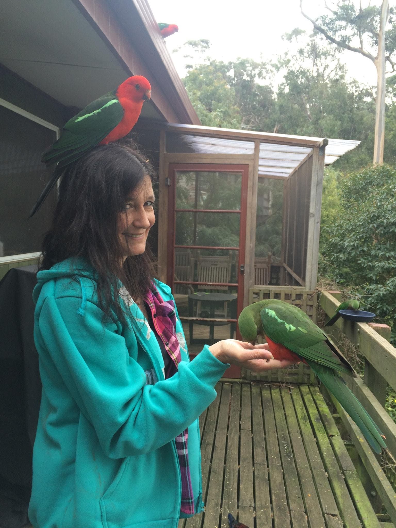 Dog Paddles in the Big Blue Sea