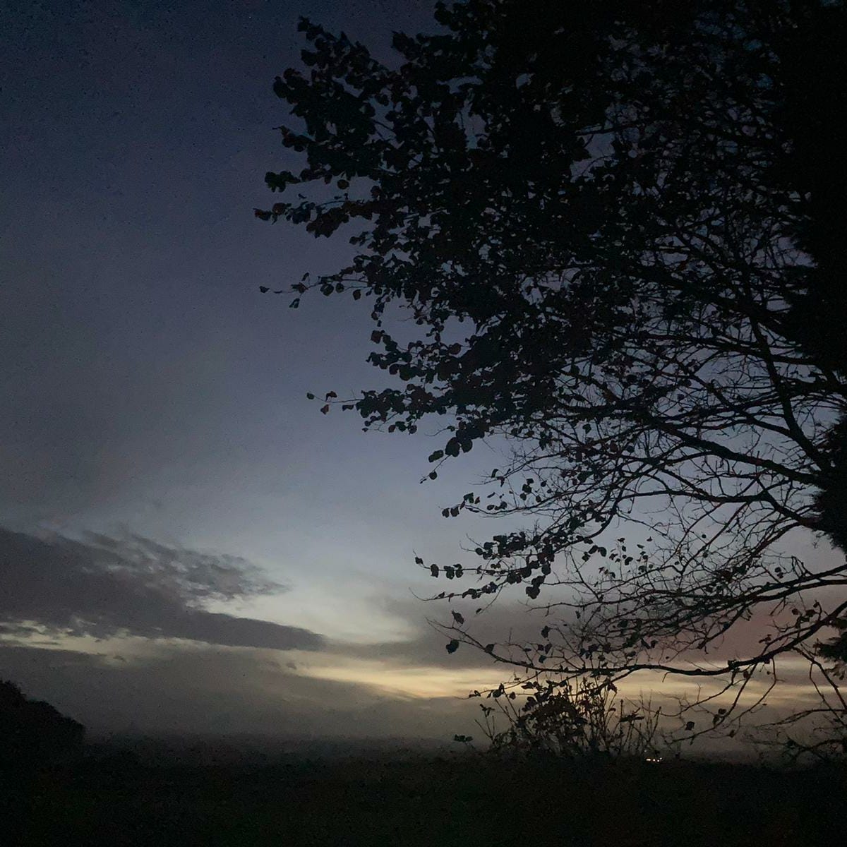 Artwork for Elizabeth Ewing