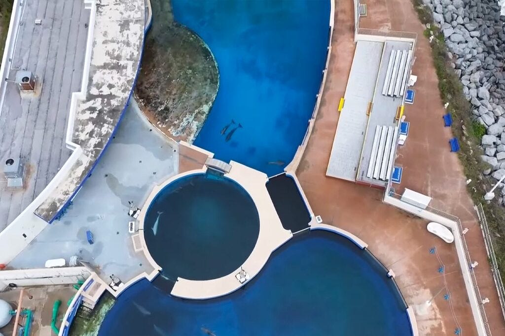 Marineland aerial Marineland aerial